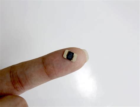 rfid chip rice|rfid chip for pets.